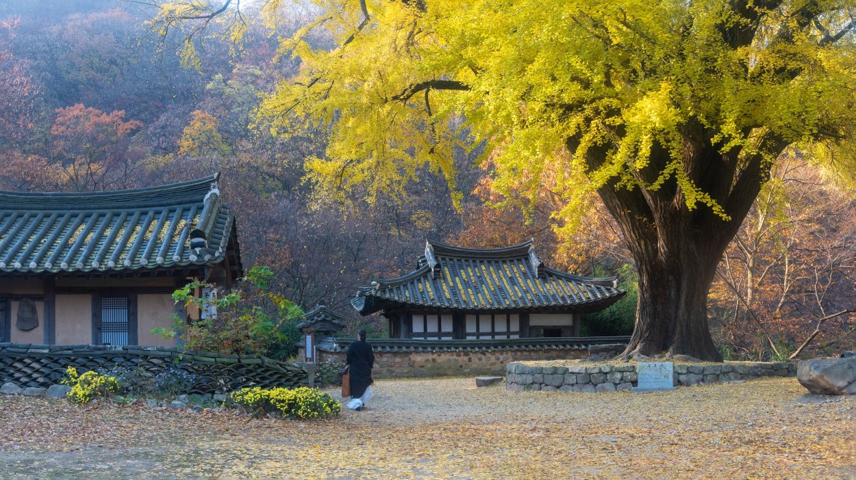 Обои на рабочий стол осень Корея