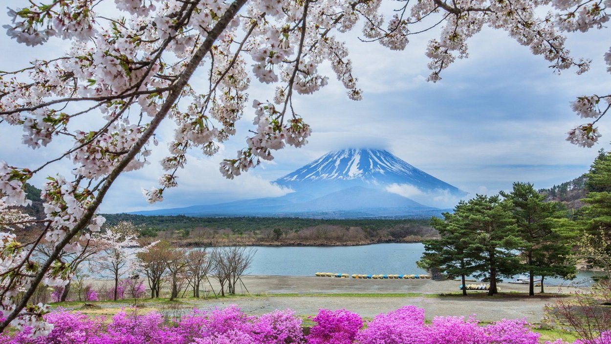 Япония Сакура и Фудзияма