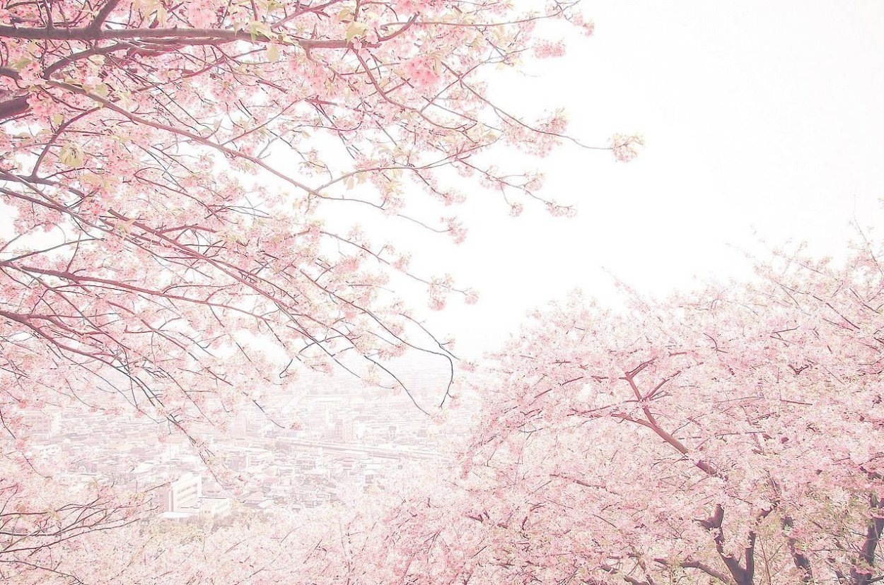 Пейзажи Японии