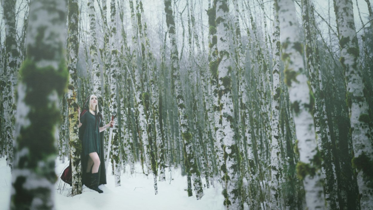 Фотосет в березах зимой