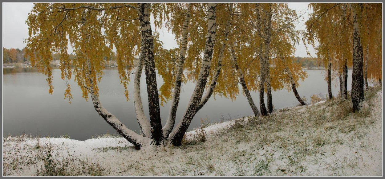 Зима березы, озеро