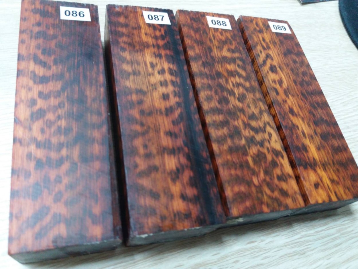 Салак растение