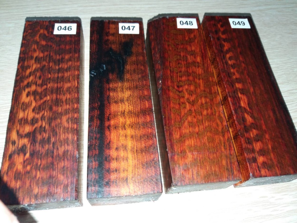 Аморфофаллус коньяк змеиная Пальма