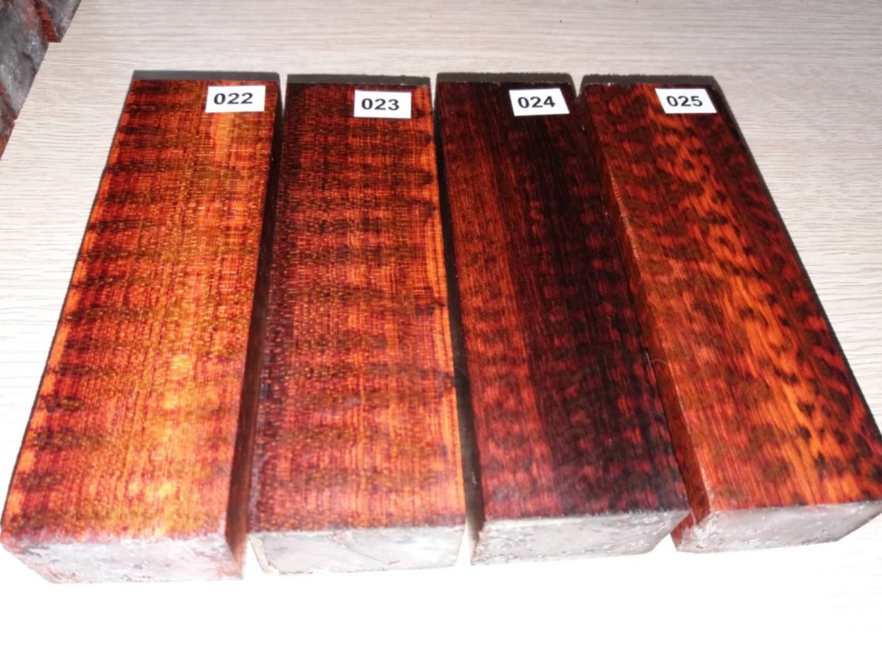 Аморфофаллус Пальма