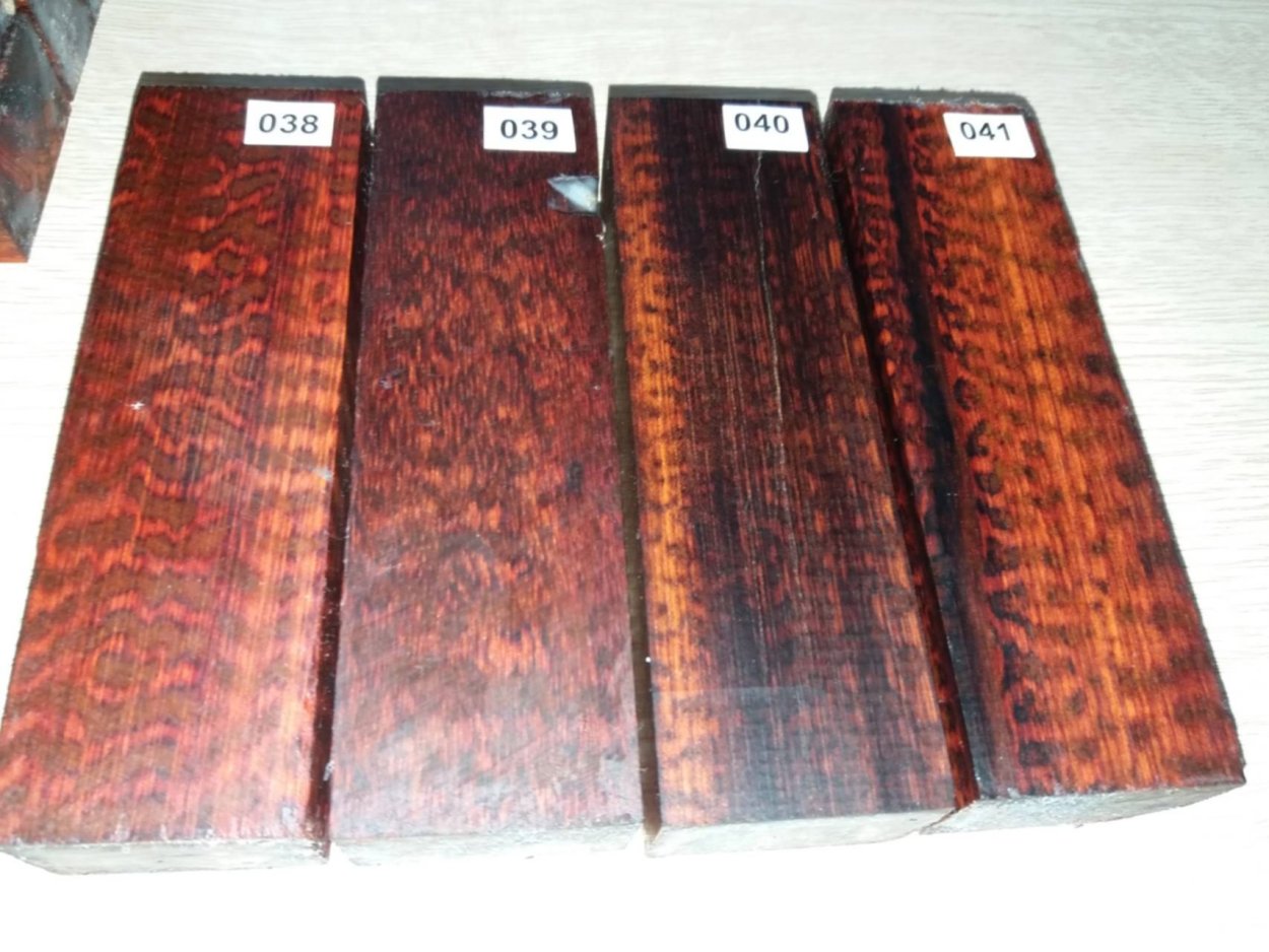 Аморфофаллус цветок комнатный