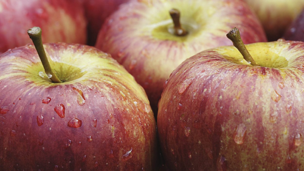 Яблоки зеленые