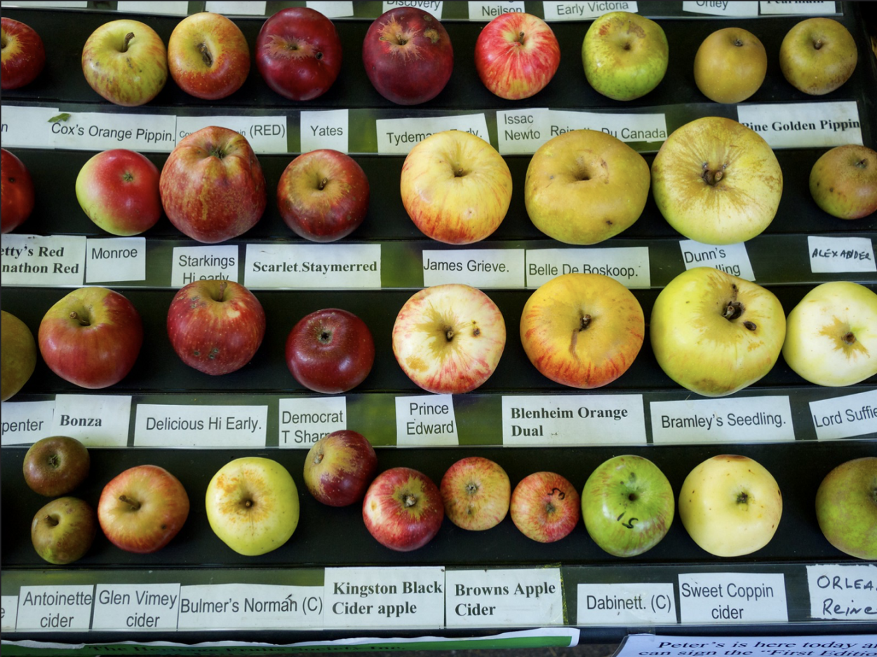 Яблоки разного цвета