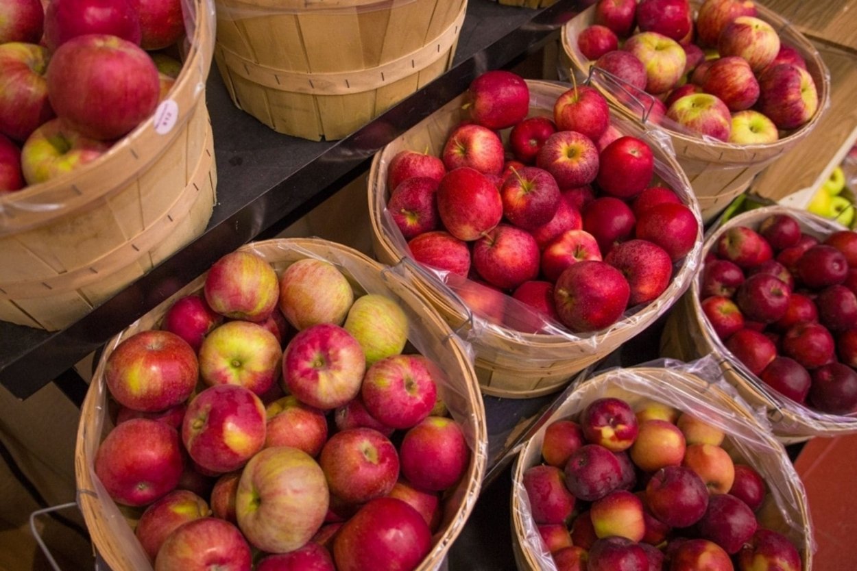 Яблоня Джонагоред