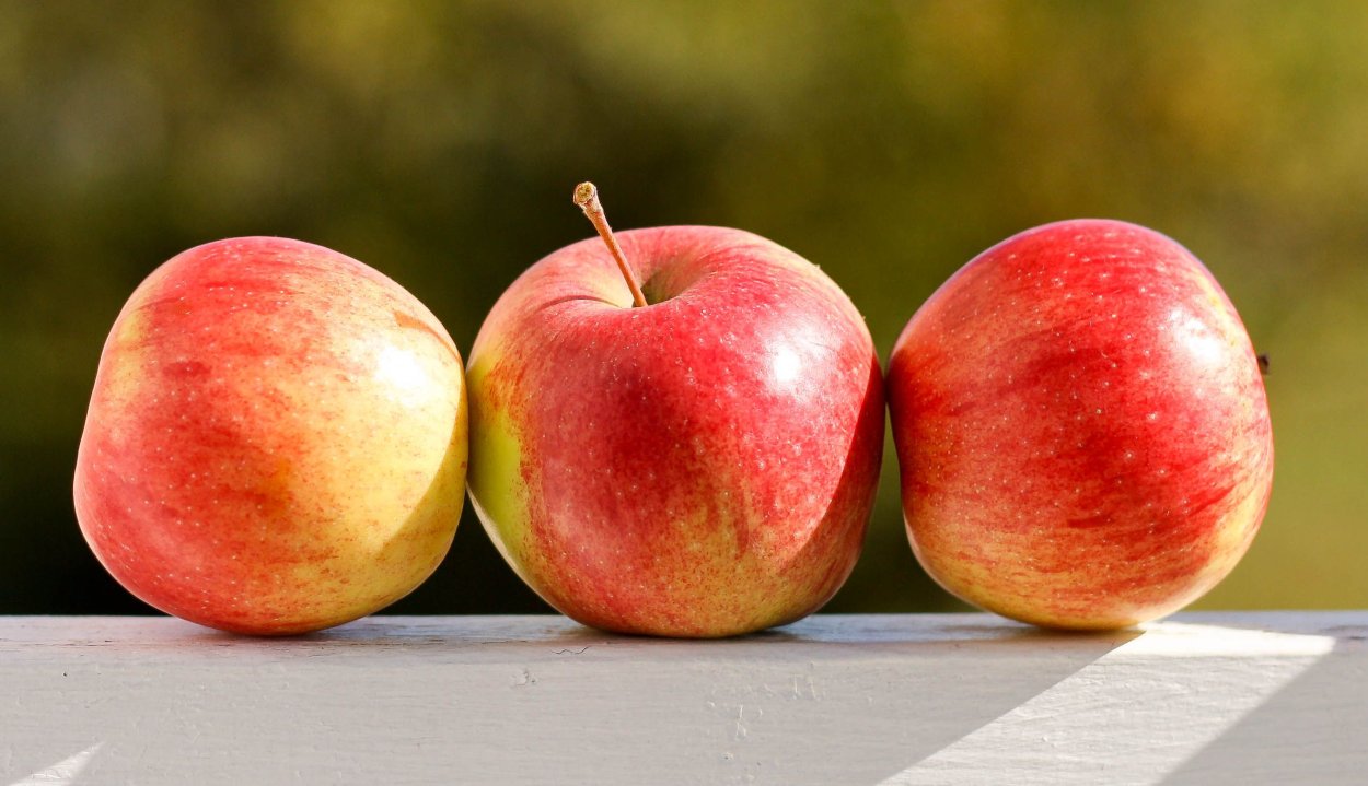 Яблоки Альба