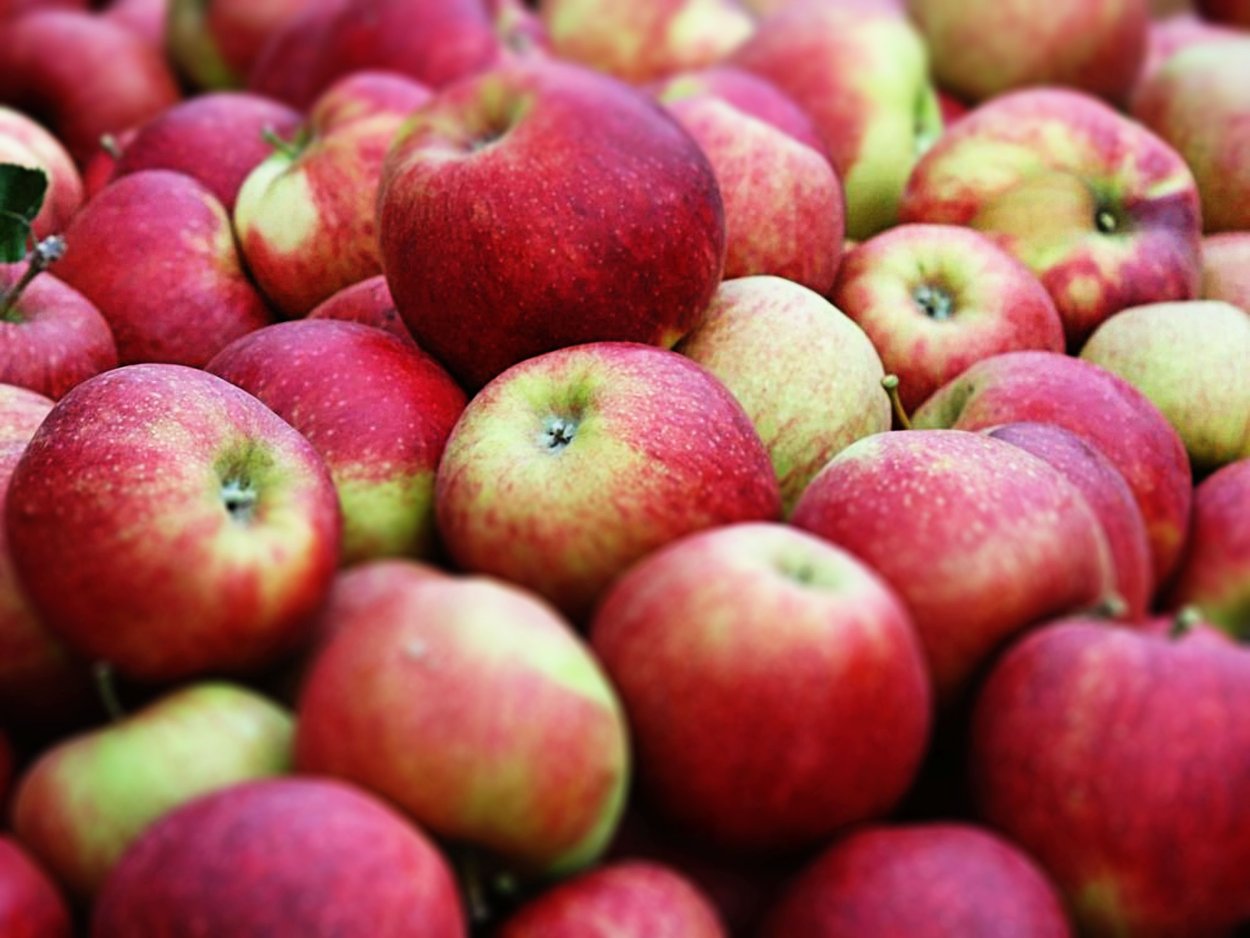 Много красивых яблок