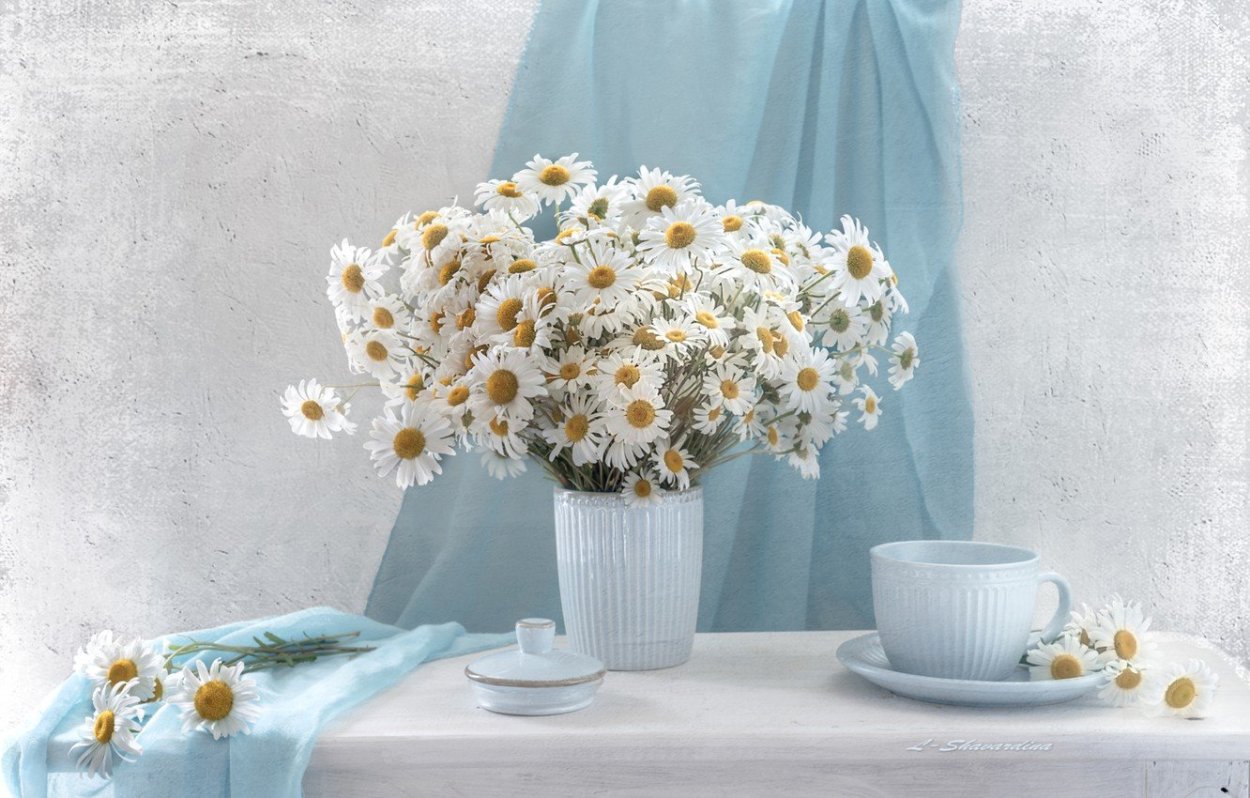 Букет ромашек