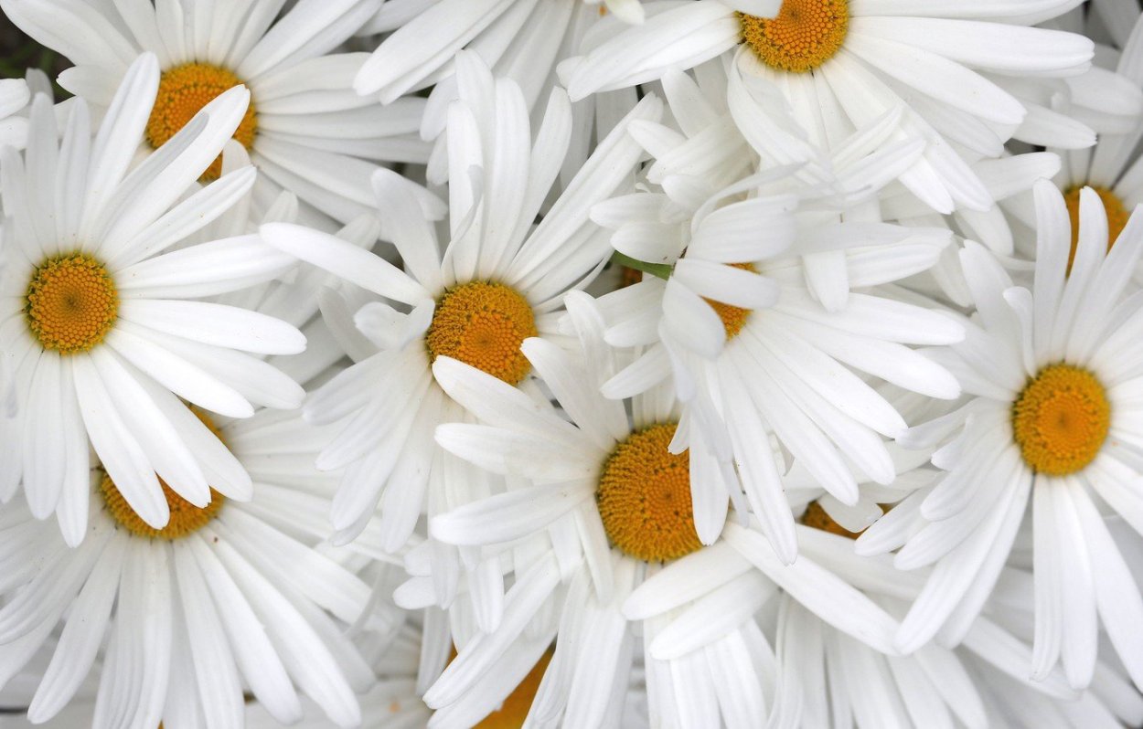 Стол Ромашка