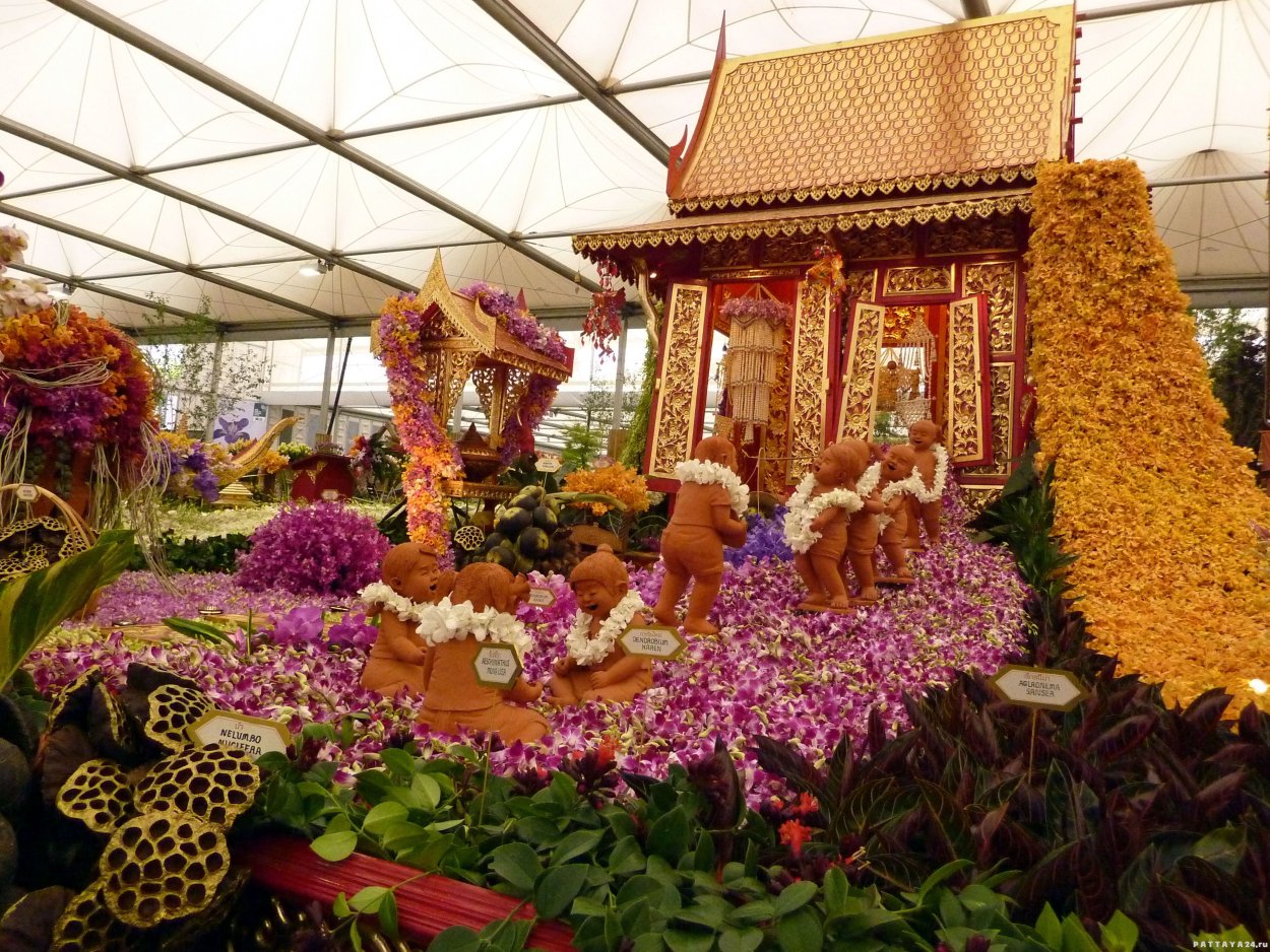 Франжипани Бали