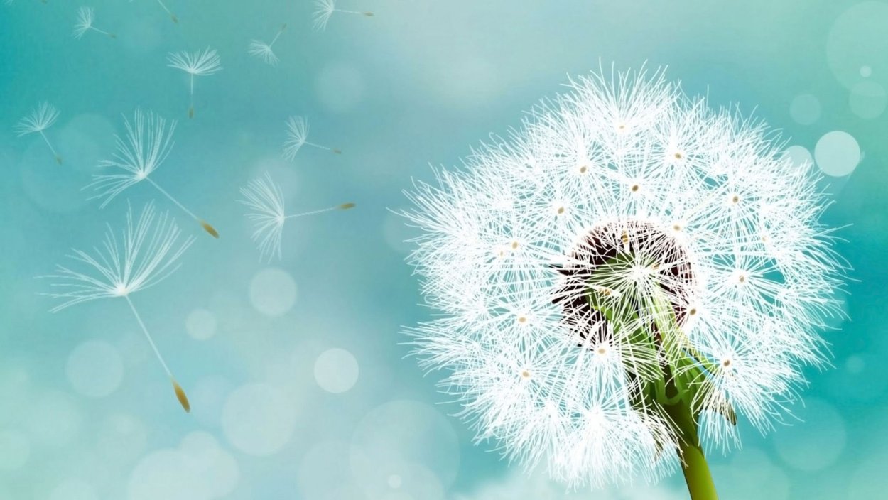 Поле одуванчиков Геншин