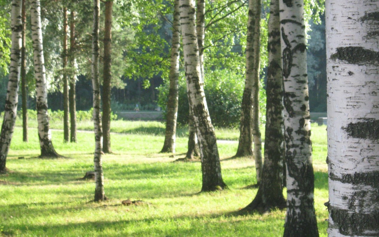 Музей-усадьба л н Толстого Ясная Поляна