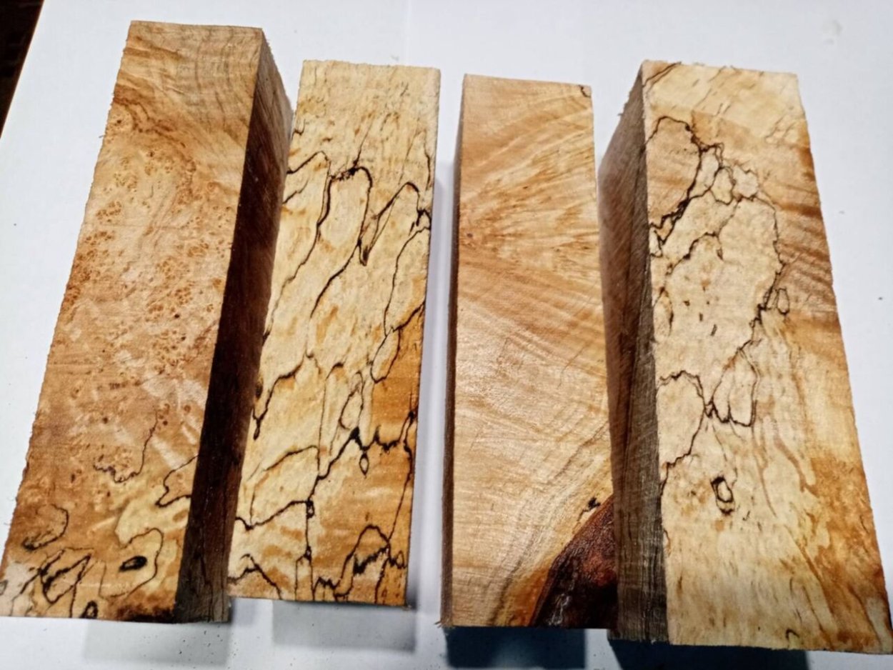 Березы Сибири Хакасии