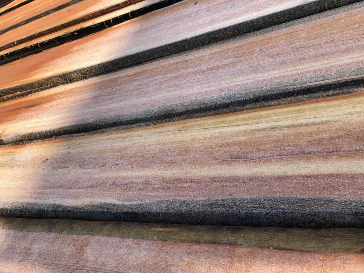 Сосна кело пиломатериалы