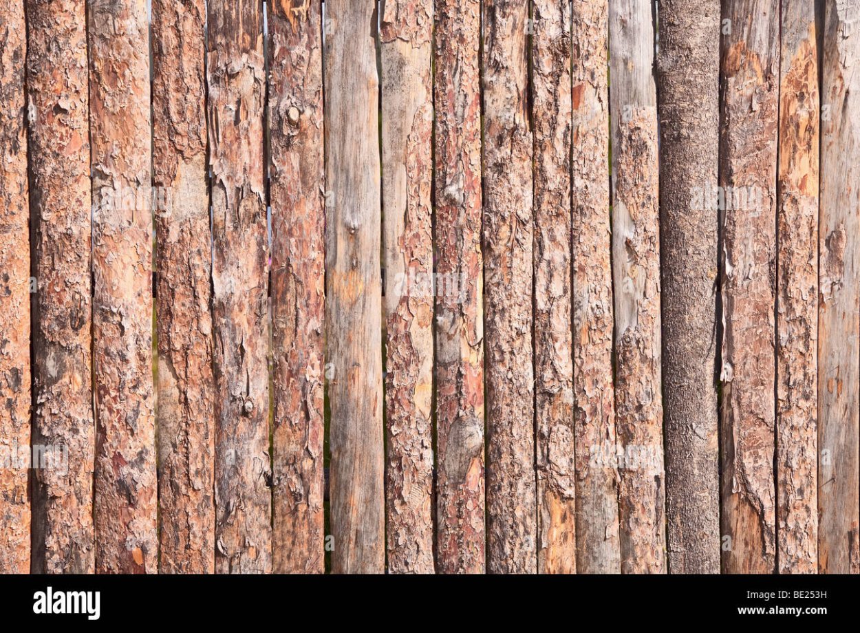 Забор из горбыля с корой