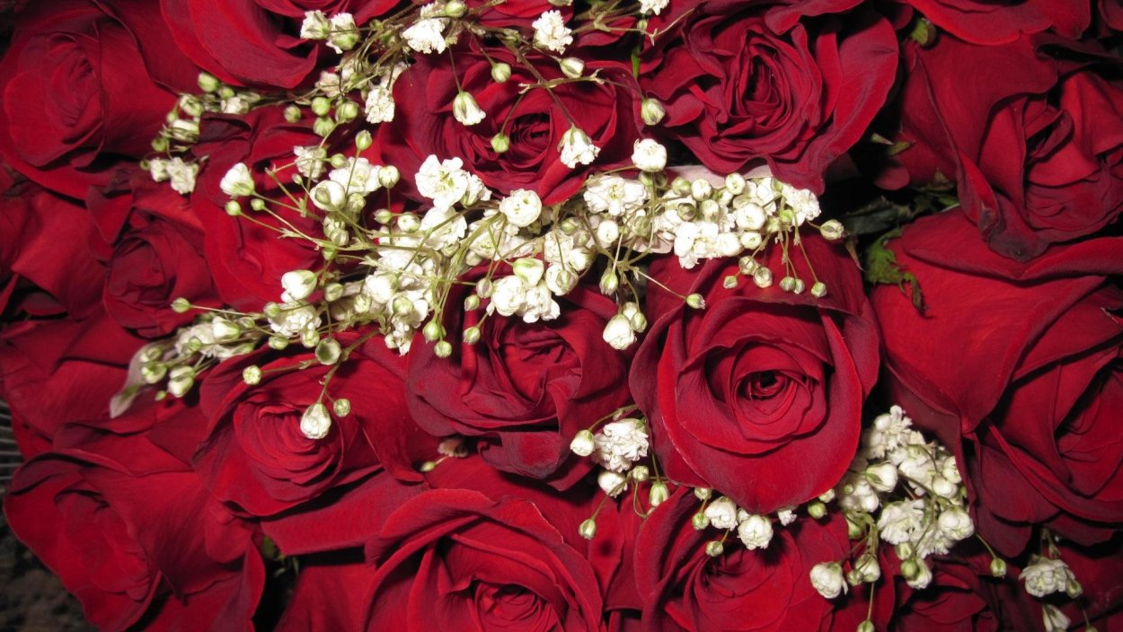 С восьмым марта розы