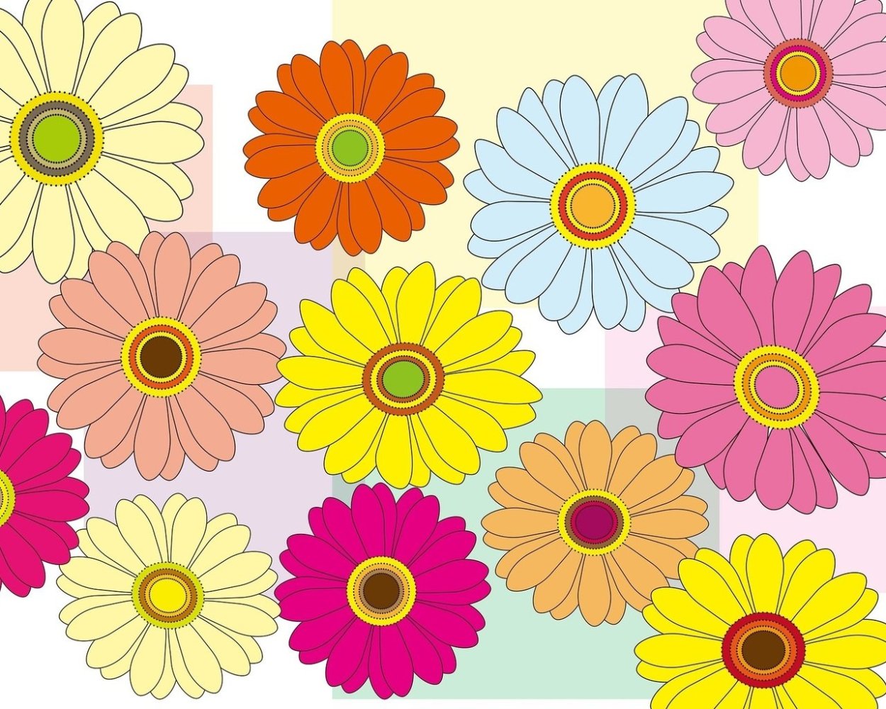 Яркие цветы