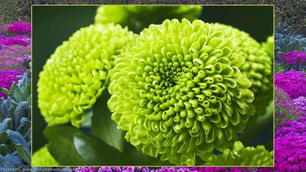 Композиция в круглой вазе