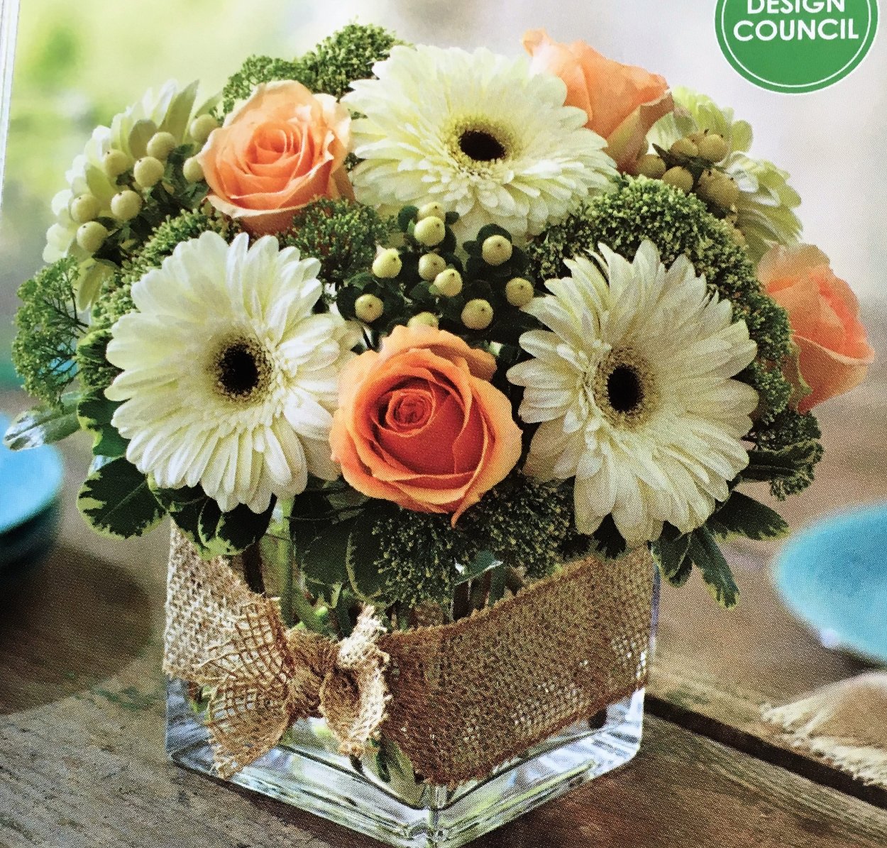 Аллиум Гладиатор растение