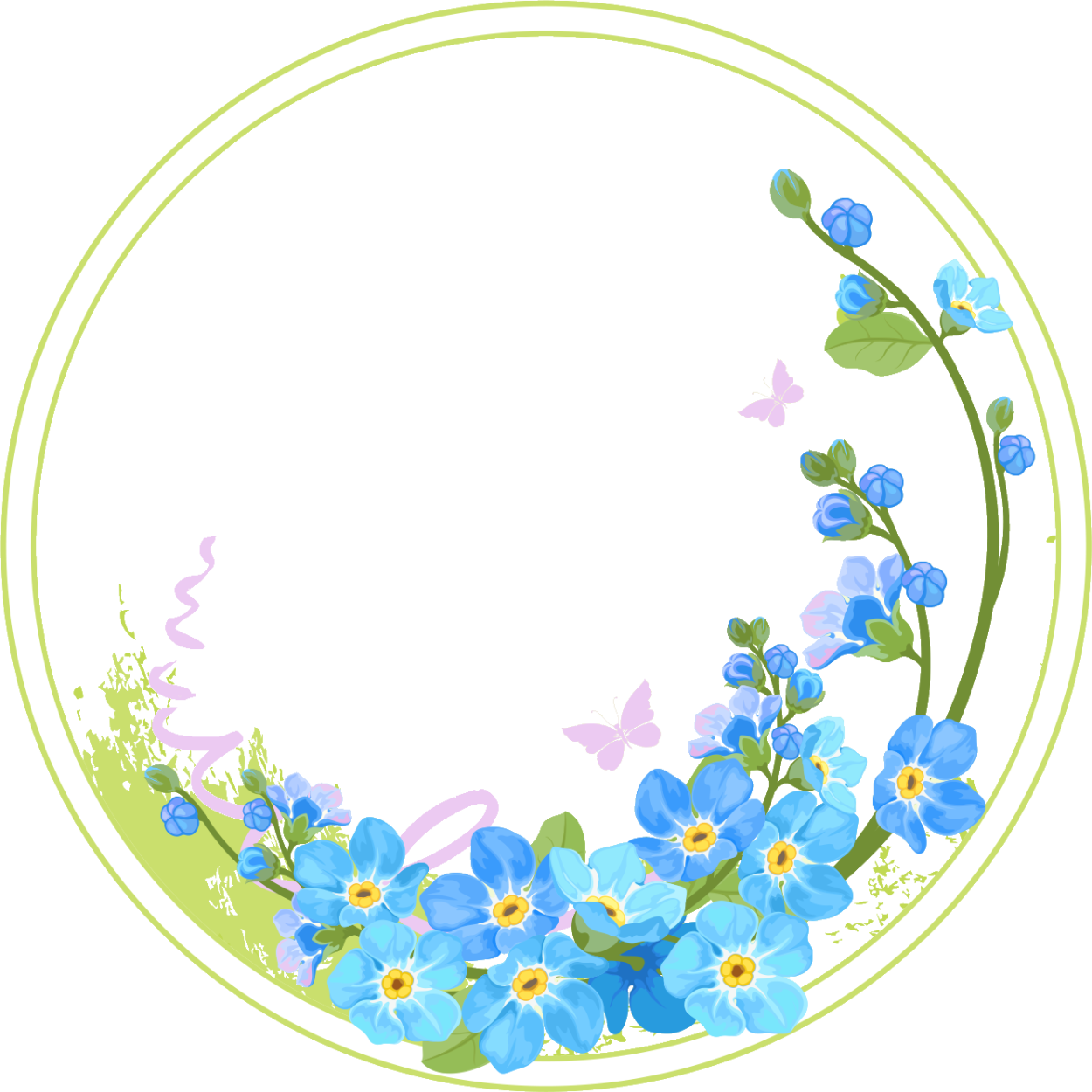 Астра трубчатая