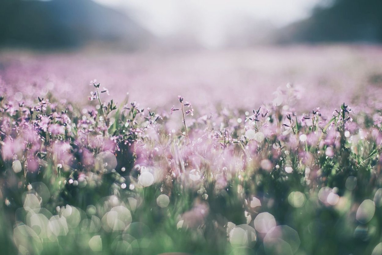 Пастельные тона