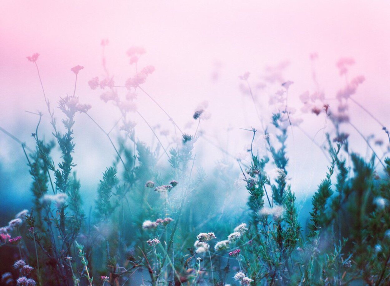 Природа в бирюзовых тонах