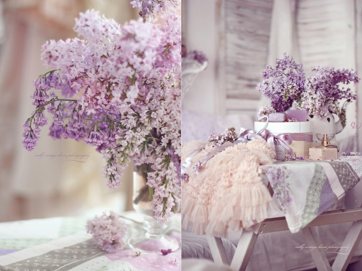 Лавандовая нежность