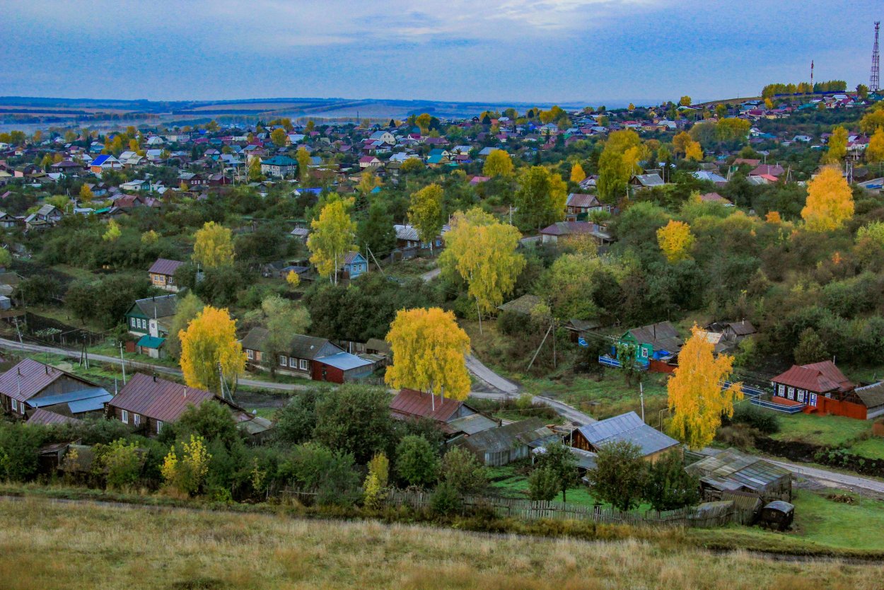 Цветы сенгилей