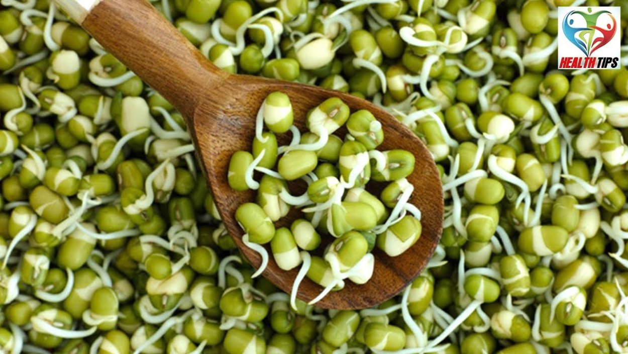 Дремоносные Бобы