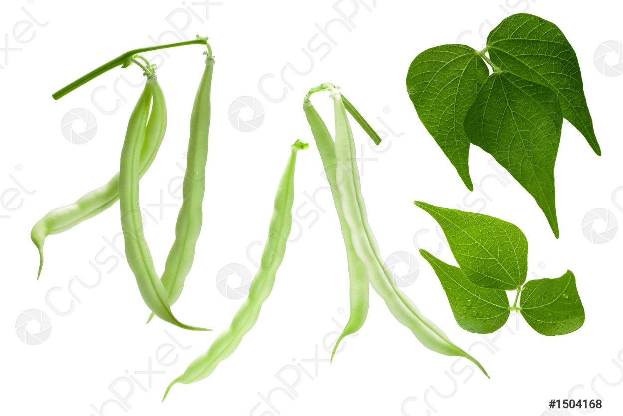 Фасоль в стручке для детей