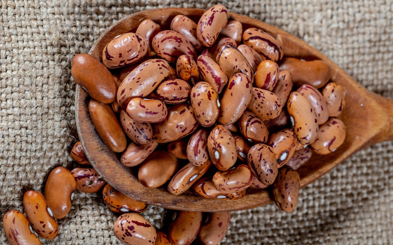 Гигантская фасоль-бегун