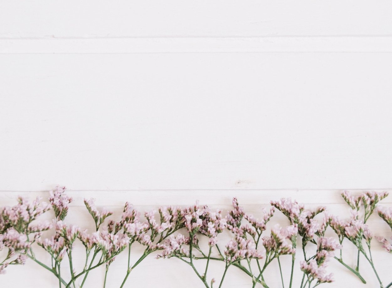 Цветы Минимализм