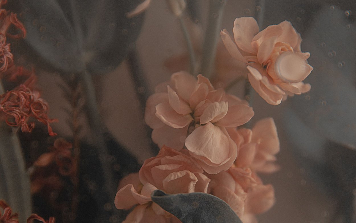 Нейтральный фон