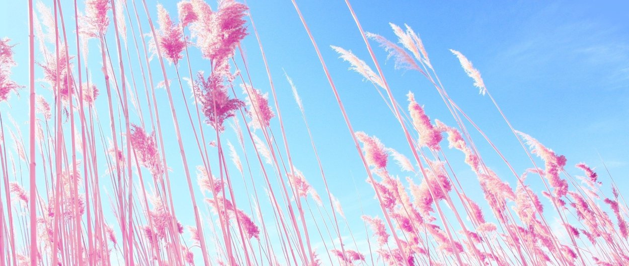 Фон горизонтальный Эстетика