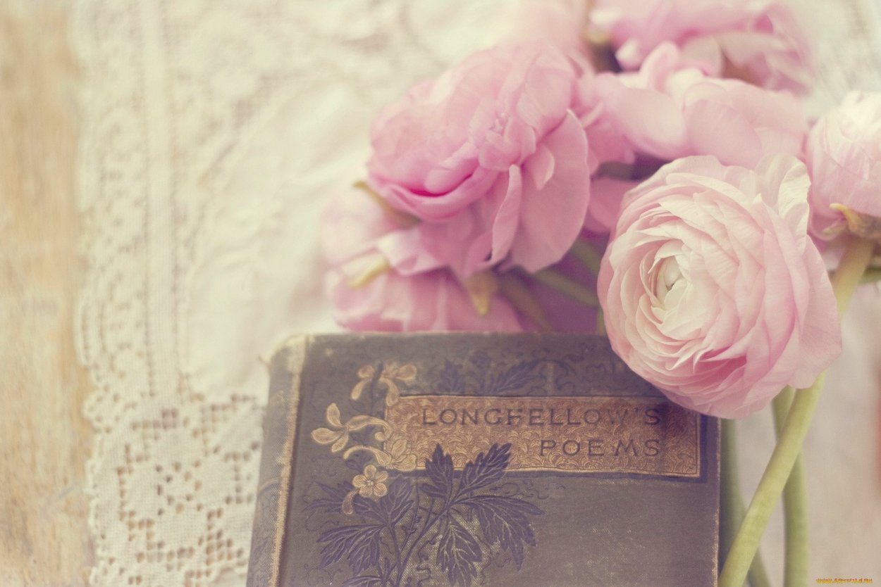 Нежный цветок