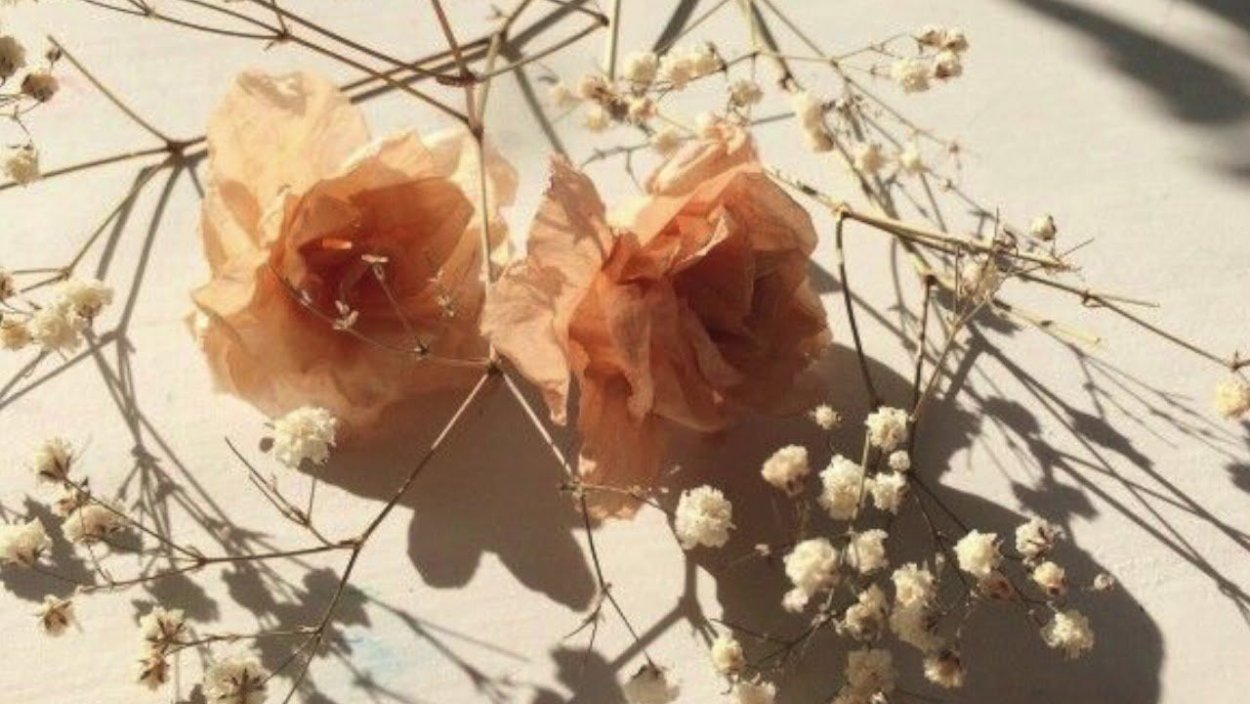 Цветочный фон Эстетика