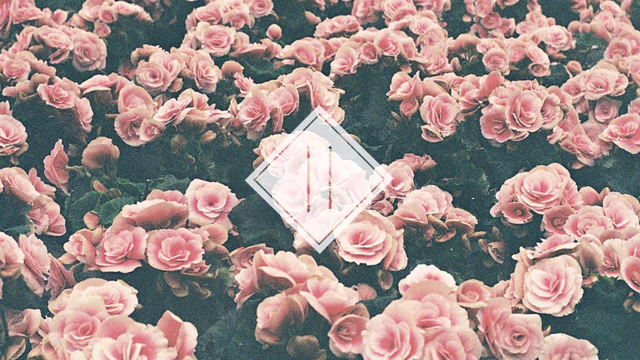 Сохранёнки Эстетика