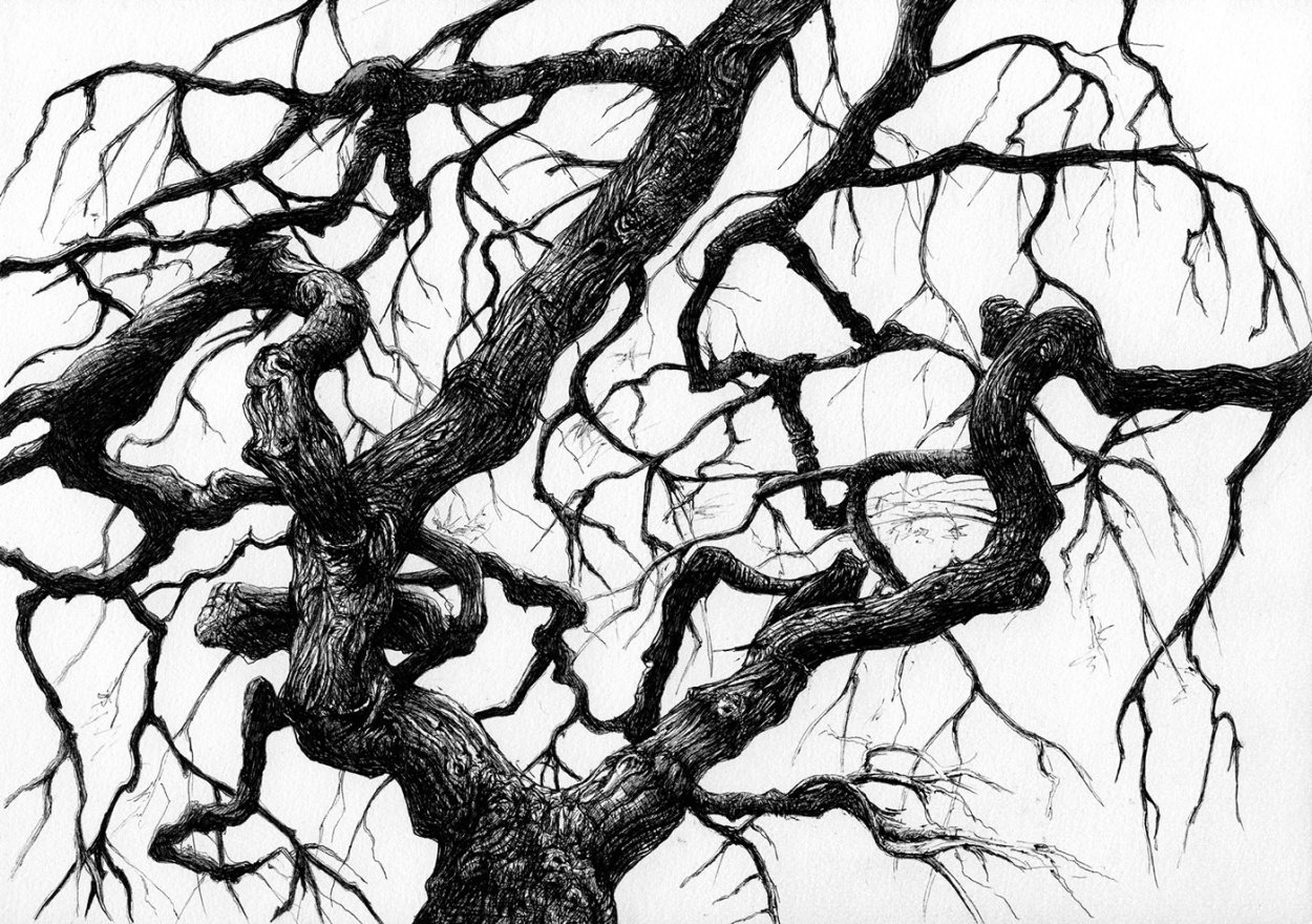 Единение с природой