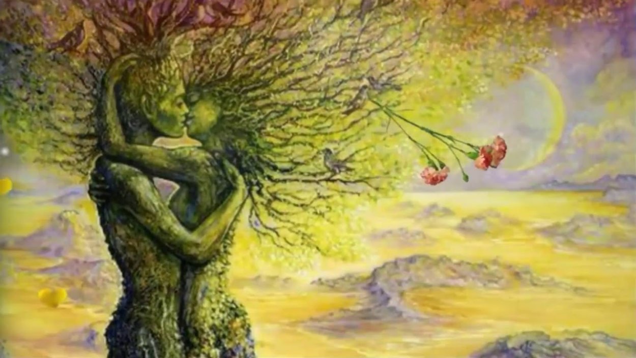 Ива плетеная датские корни (Salix viminalis)