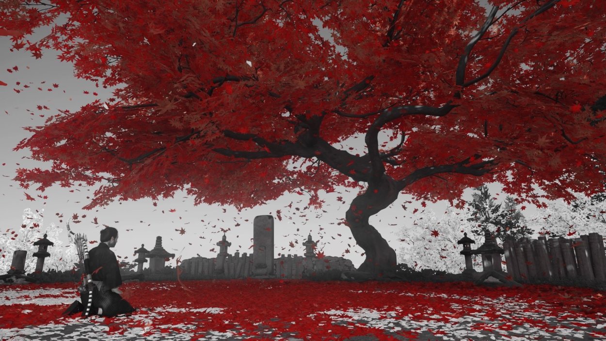 Ghost of Tsushima Сакура