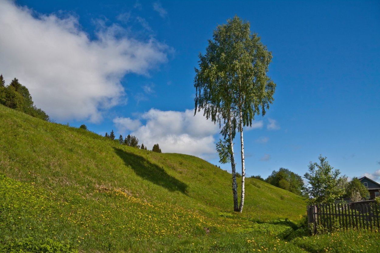 Красавино Дресвянский угор