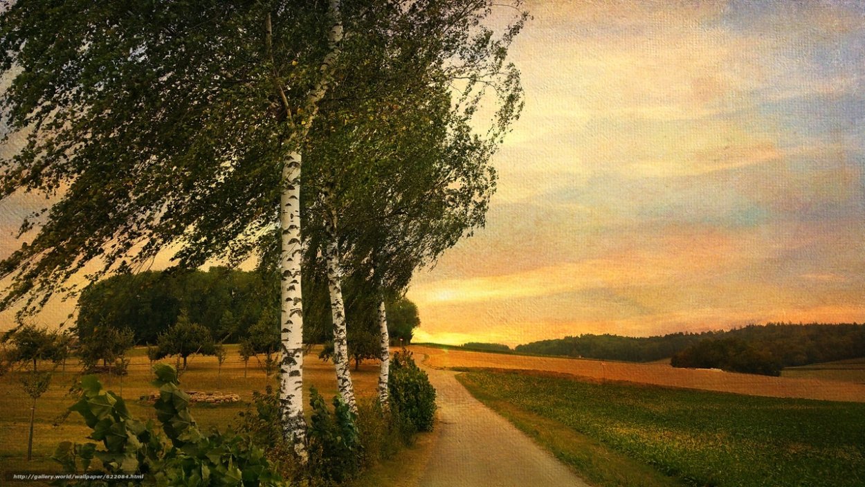 Природа Якутии Алаас березы