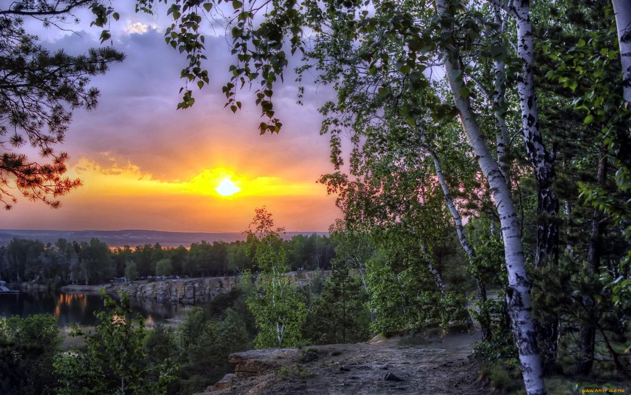 Алексей Либеров пейзаж Березки
