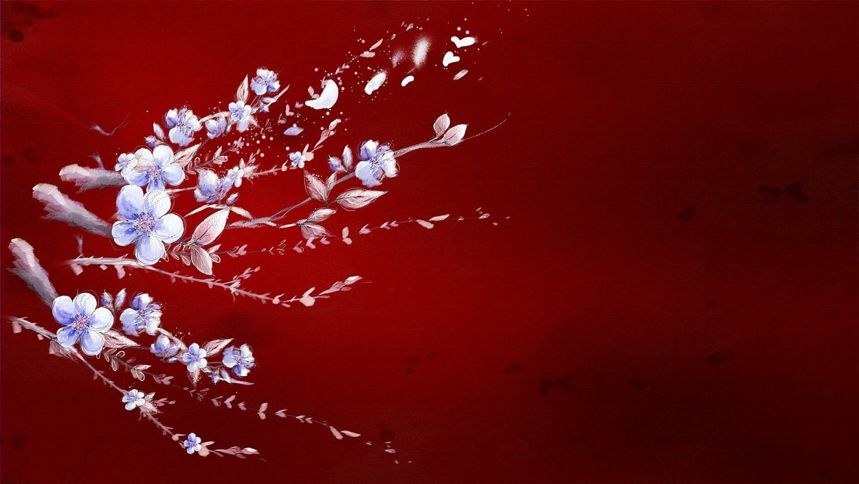 Ликорис Лучистый