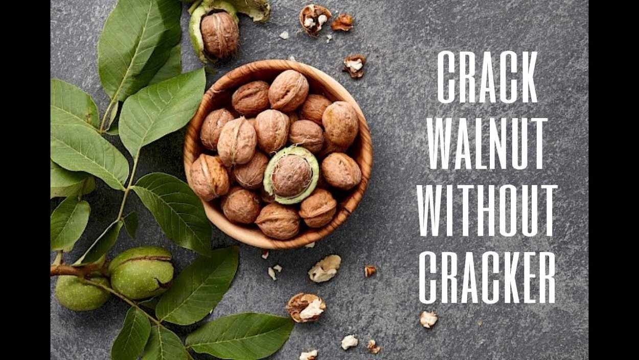 Орех грецкий