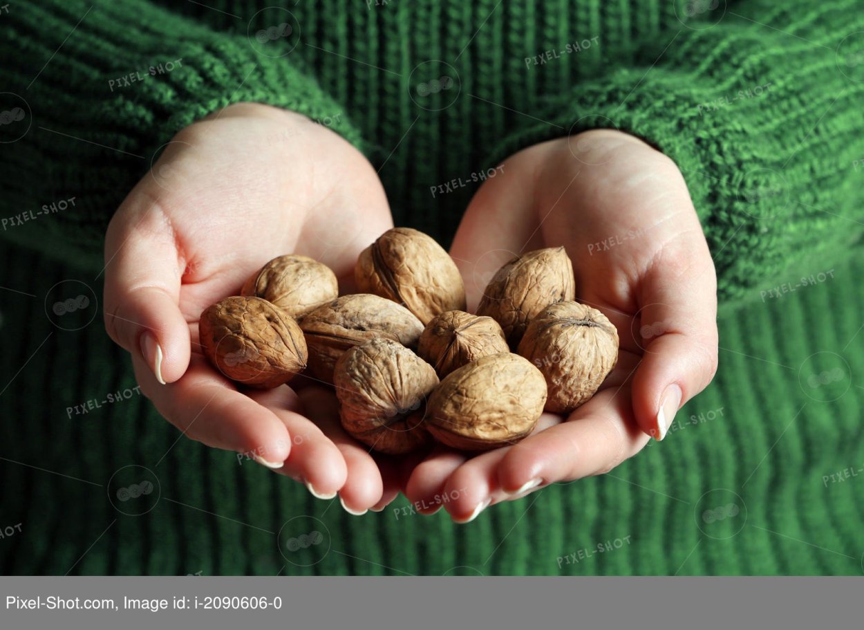 Орех грецкий