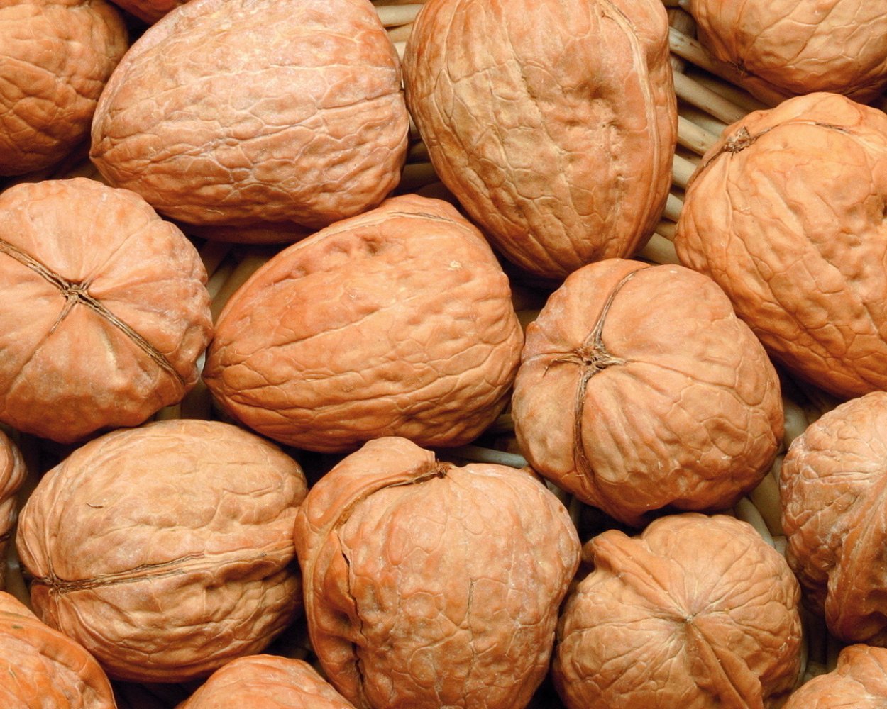 Грецкий орех growex